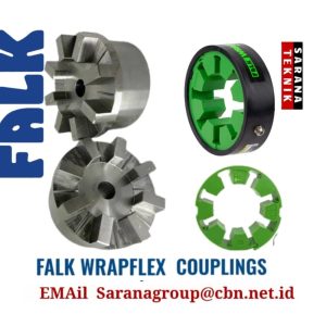 Falk Wraflex Coupling